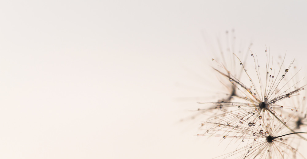 9. Platz Sieglinde Senser